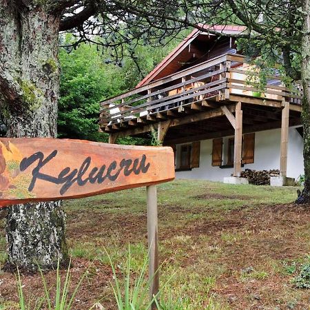 Chalet Kylucru 6 Personnes Classe 2 Etoiles Villa Xonrupt-Longemer Exteriör bild